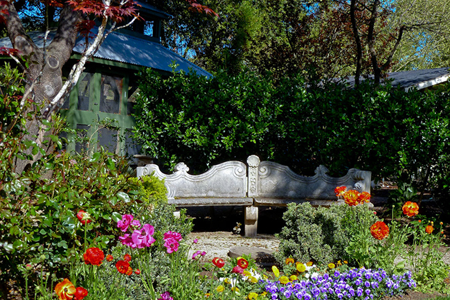 Mendocino County, CA Open Day